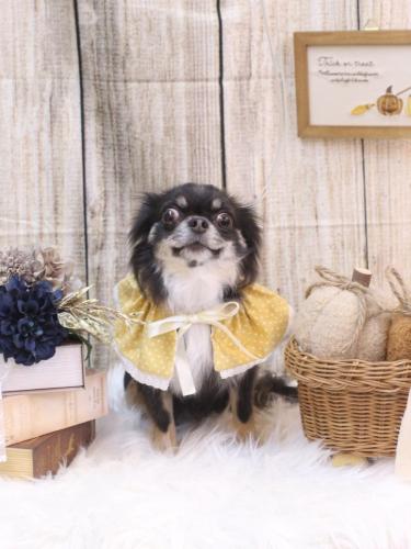 20241002らんまるちゃん